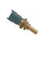 Ducato3 Hararet Müşürü Delphi (TS10253-1338C7) (55187822)