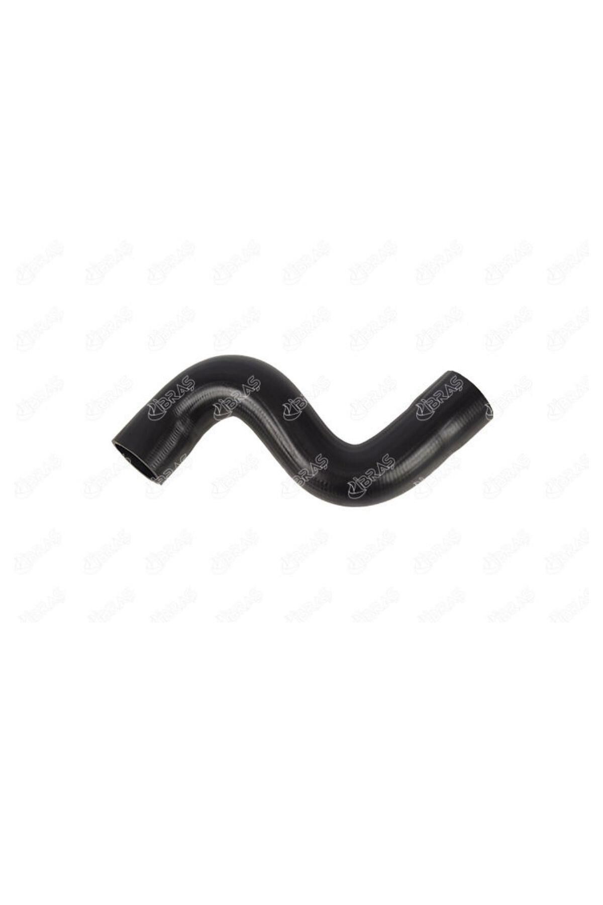 Turbo Hortumu C5 407 (17494-0382GS)