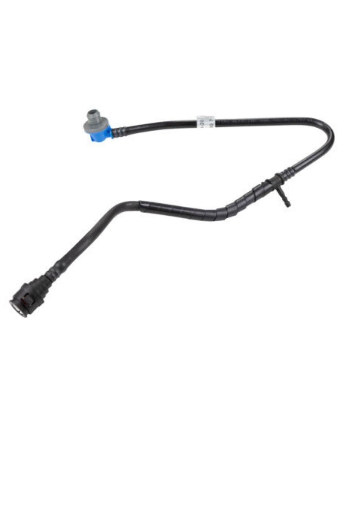 Ducato3 Westing House Hortum (1368752080)