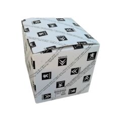 Triger Seti+Devirdaim 308 3008 508 5008 EXPERT 3 DW10CTED4