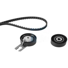 Triger Seti 144 DİŞ 206 207 C2 C3 BIPPER NEMO