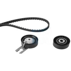 Triger Seti 144 DİŞ 206 207 C2 C3 BIPPER NEMO