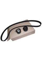 Triger Seti 144 DİŞ 206 207 C2 C3 BIPPER NEMO