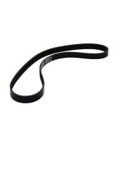 V Kayışı Bipper Nemo (6PK1025-5750.X1)