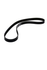 V Kayışı Bipper Nemo (6PK1025-5750.X1)