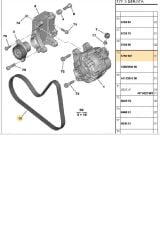 V Kayışı 306 406 405 Xsara 1.8 98-00 (6PK1065-5750.WZ)