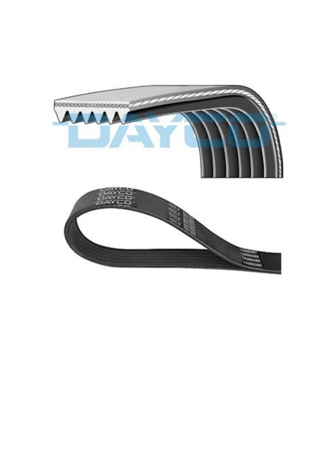 V Kayışı 206 (6PK1345-55204366)