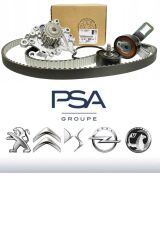 Triger+Devirdaim 301 308 508 5008 RIFTER DV5RD EURO6