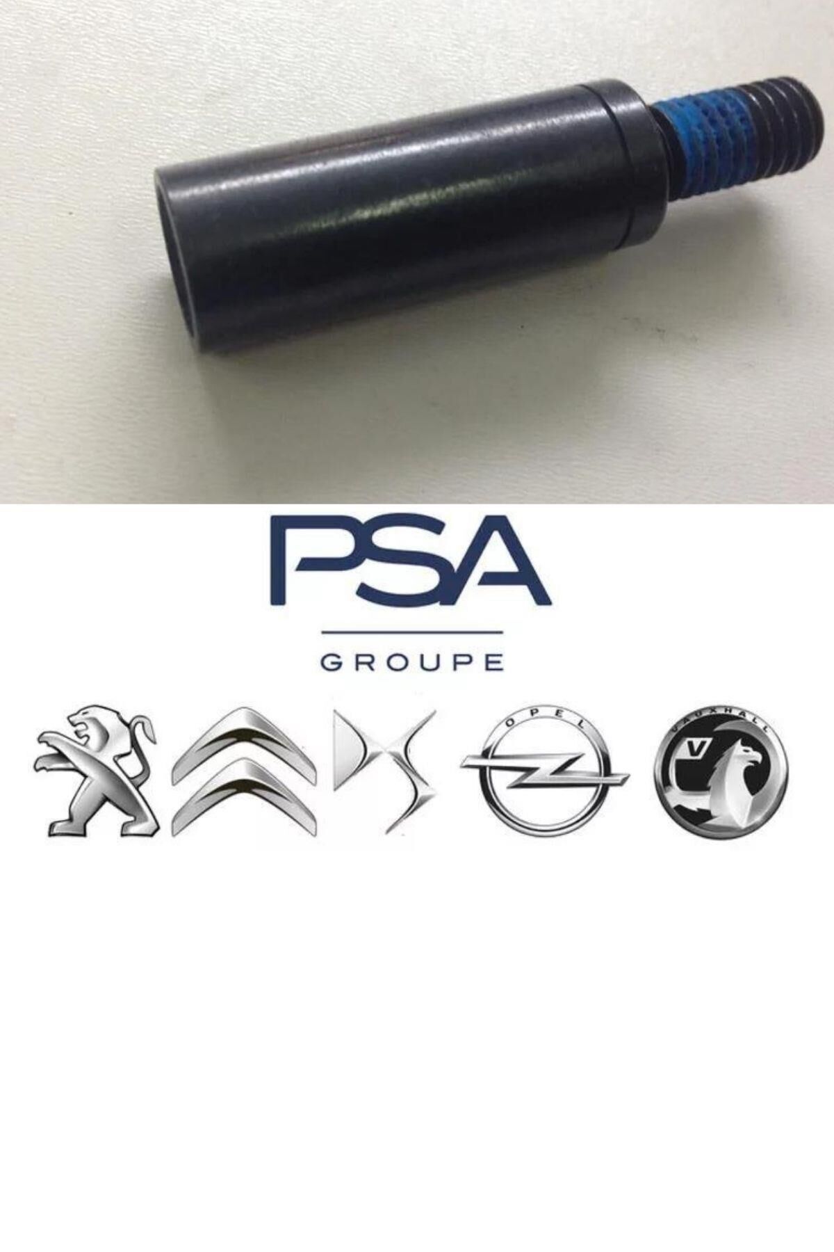 Triger Gergi Civatası (082017-BPE260035)