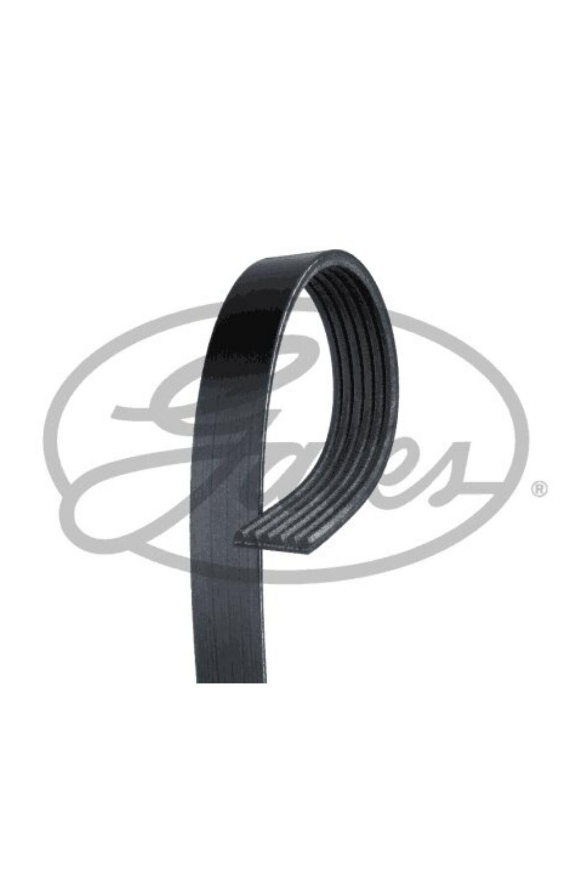 V Kayışı Partner(6PK1715-1987948453)
