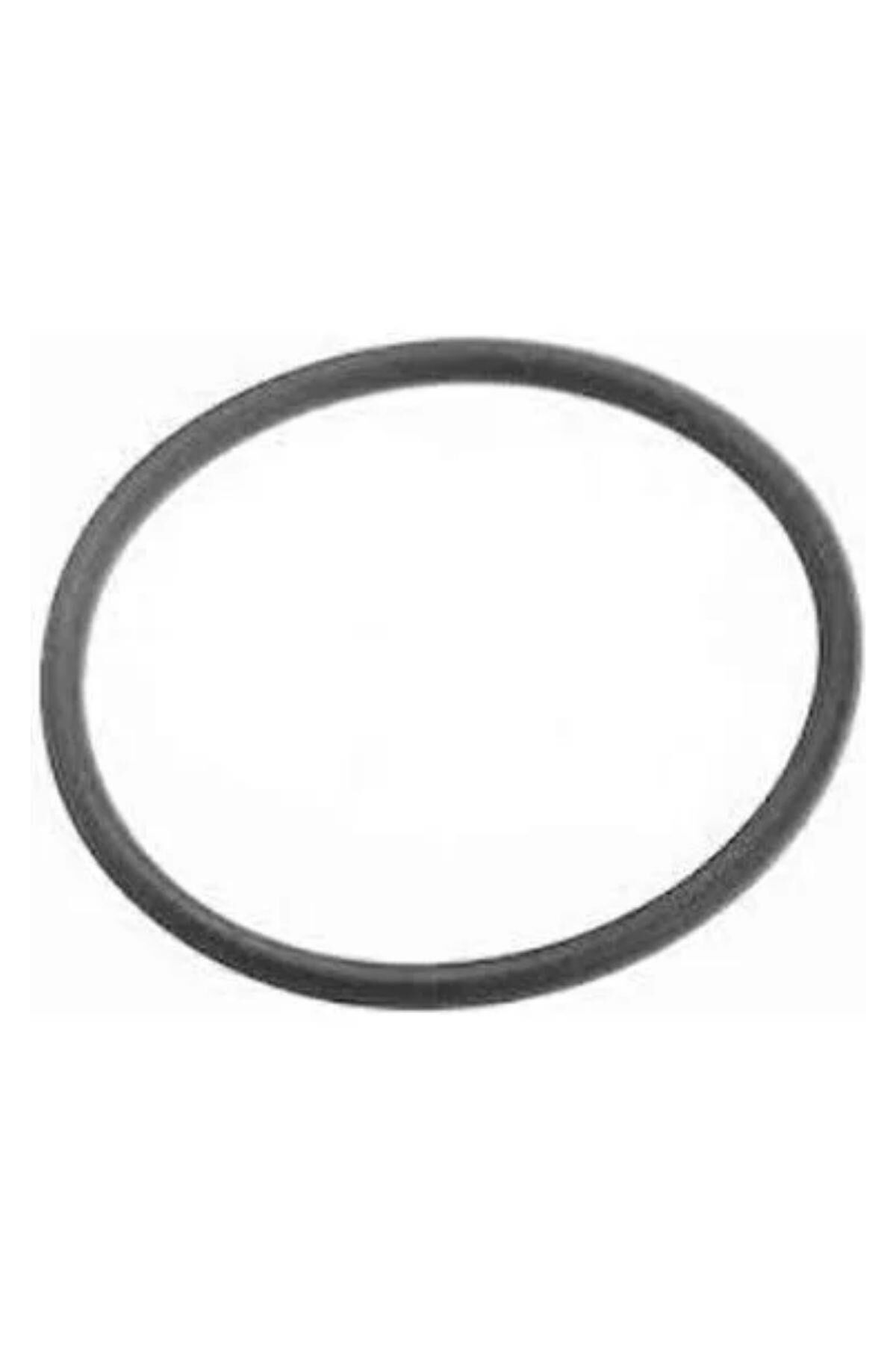 Vakum Oring Berlingo Jumper Jumpy Xsara Xantia  DW8 (455606)