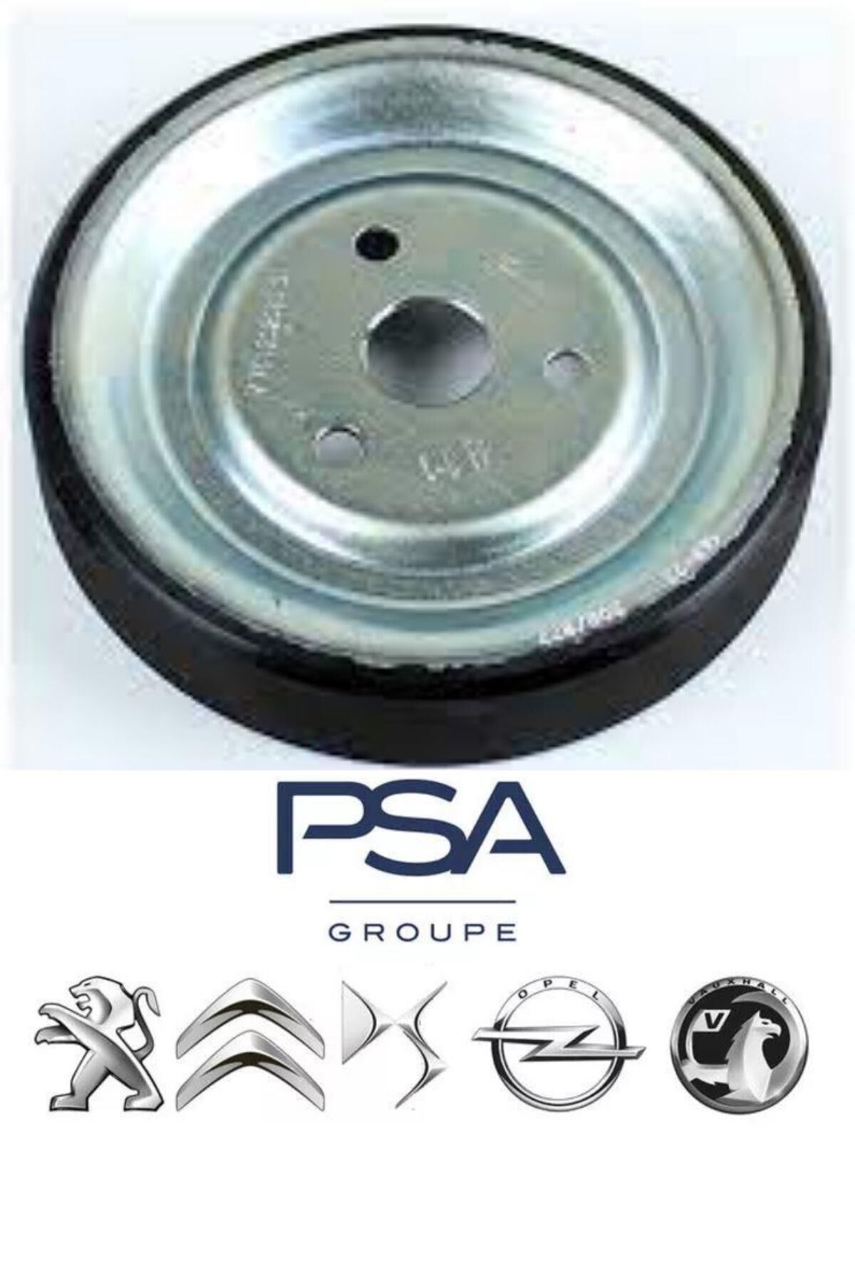 Devirdaim Kasnağı (1204.59-R54658)