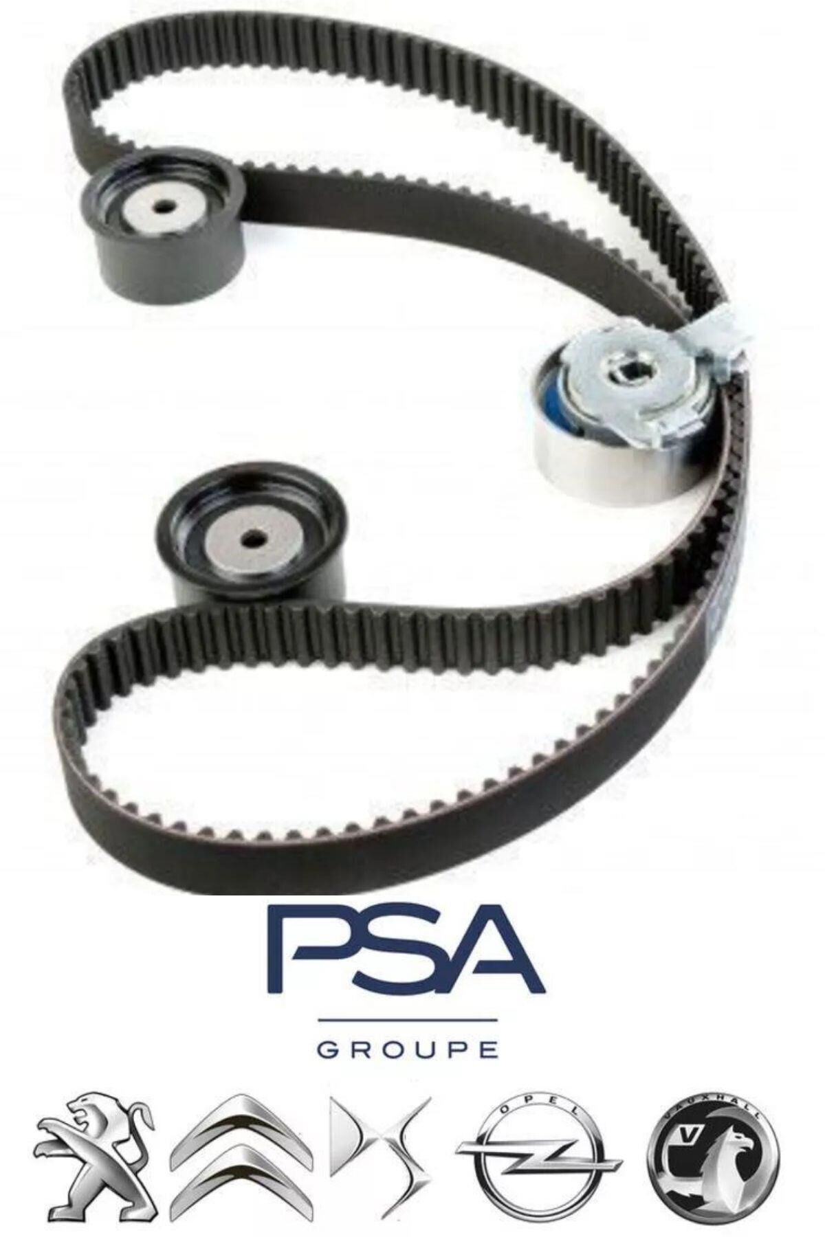 Triger Seti (0831.Q5-E118415)