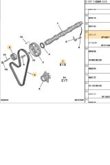 Triger Seti (0831.Q5-E118415)