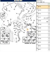 Su Dağıtım Borusu Demir Partner Berlingo 1,9 Dizel (1307NL-BPE210072-REP13070NL)
