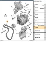 V Kayışı 1007 206 207 307 DW6TED (5750.YJ-6PK1090)