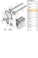 Eksantrik Keçesi 106 206 207 301 307 (080735)