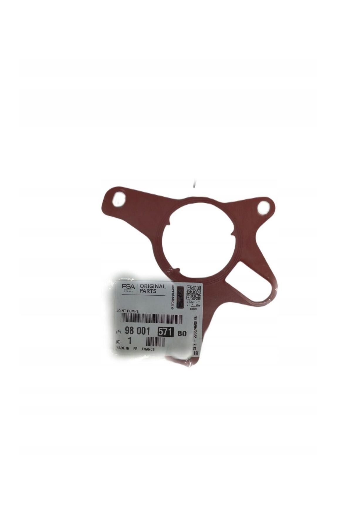 Boxer Jumper 3 Vakum Pompa Contası Euro 6 (P9800157180)