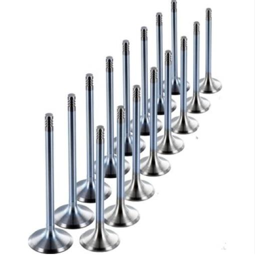 Subap Takımı Std (Duratech) Stellitli  Lpg Focus Fiesta 1.6L 16V 01> ( GNS153915401 - 1S4G6507CB - 1S6G6505BA )