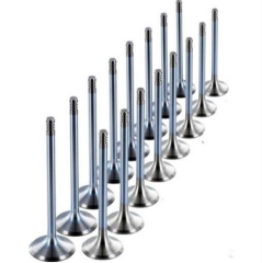 Subap Takımı Std (Duratech) Stellitli  Lpg Focus Fiesta 1.6L 16V 01> ( GNS153915401 - 1S4G6507CB - 1S6G6505BA )