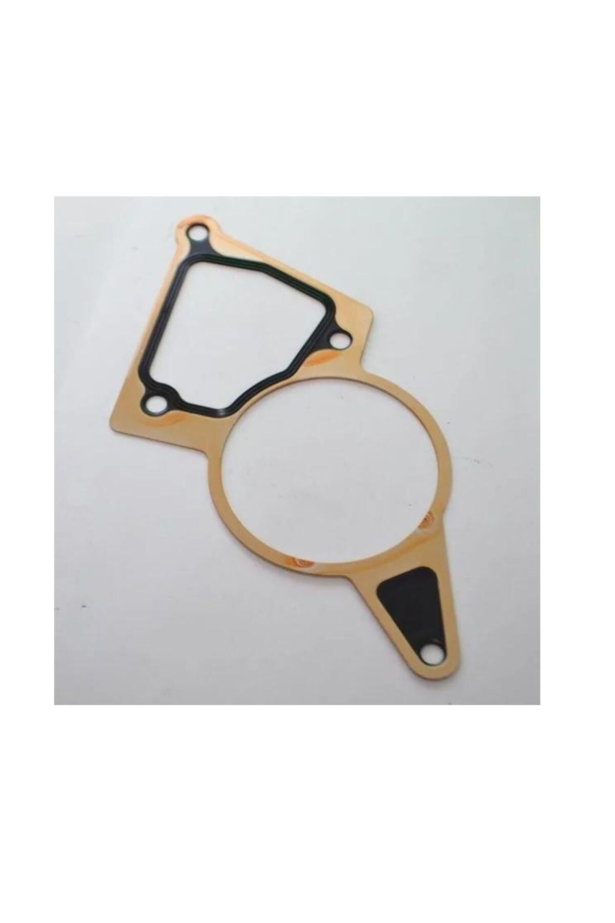 Boxer Jumper3 Vakum Pompa Contası  (P9676973280-Bk2Q8K530)