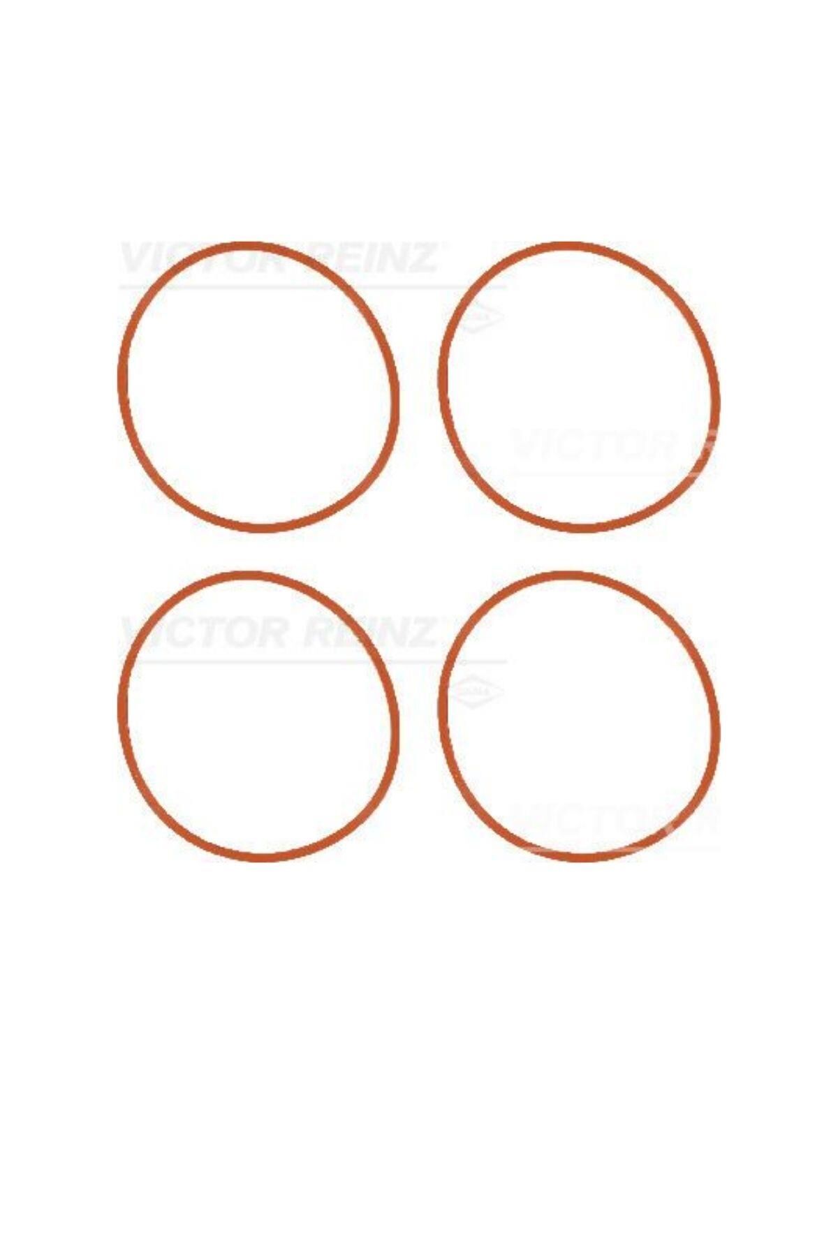 Emme Manifold Oring Tkm 1,4 16V 206 207 307 1007 (113695601-0348S1)