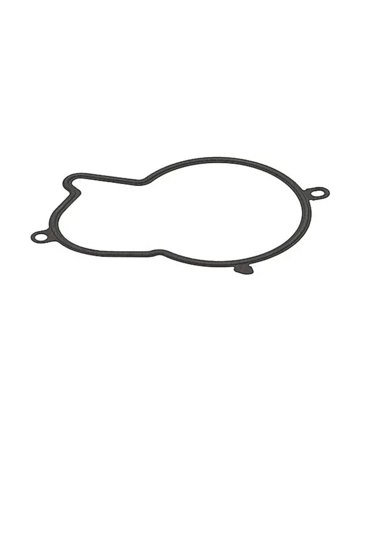 Boxer Jumper 3 Mazot Pompa Conta Euro 6 Boş (P9674994180)