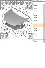 Sağ Kaput Menteşe Partner (791281-BPE276010)