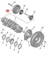 Boxer Jumper3 Krank Kasnağı Dolu Tip (P9806722380-Bk2Q6B319Ba)