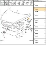 Sol Kaput Menteşesi 307 (791263-BPE276024)