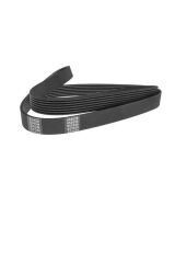 Boxer Jumper Ducato3 V Kayışı 2 0 (P9809996880)