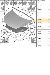 Sol Kaput Menteşesi Partner Berlingo 03>07 (TRL791280-BPE276009-791280)