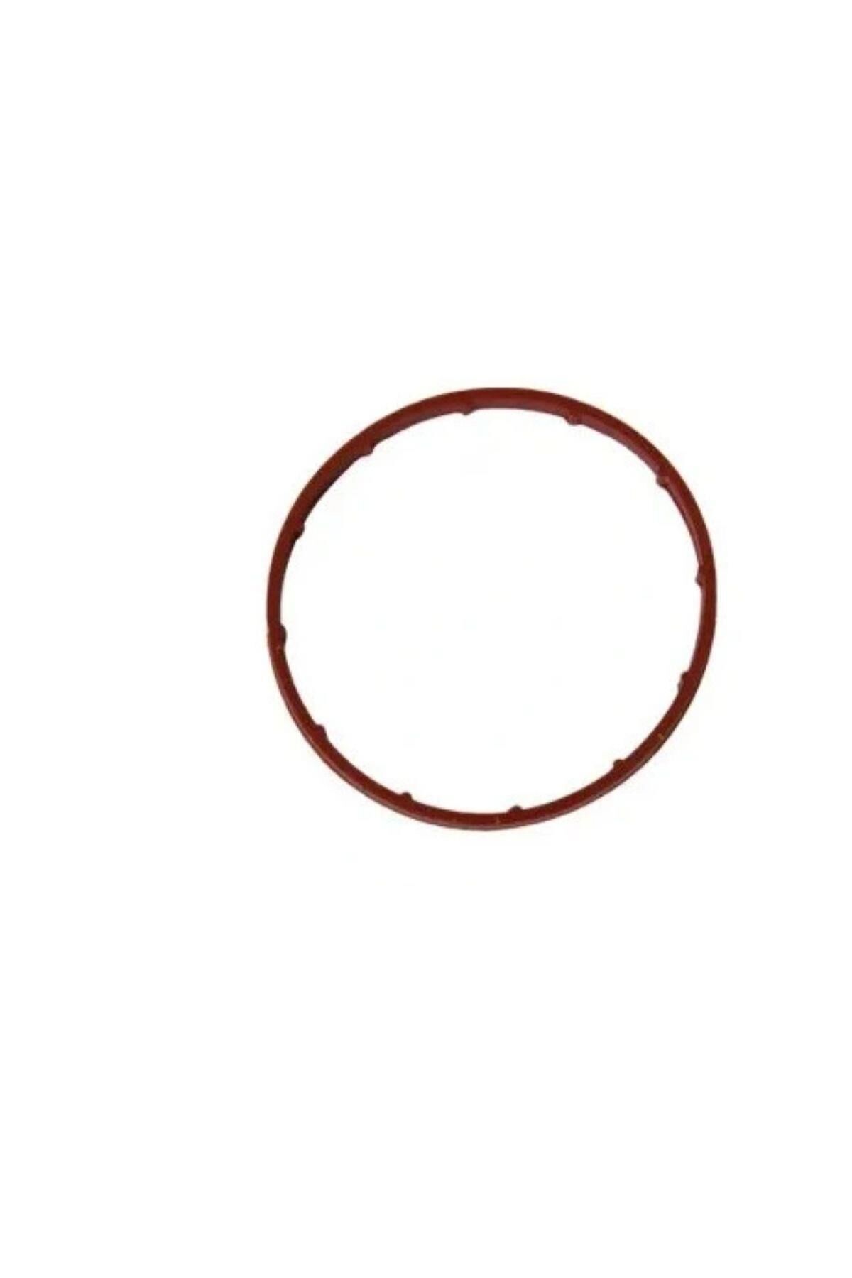 Vakum Pompa Contası Expert 307 308 Boxer DW10 (4556619)