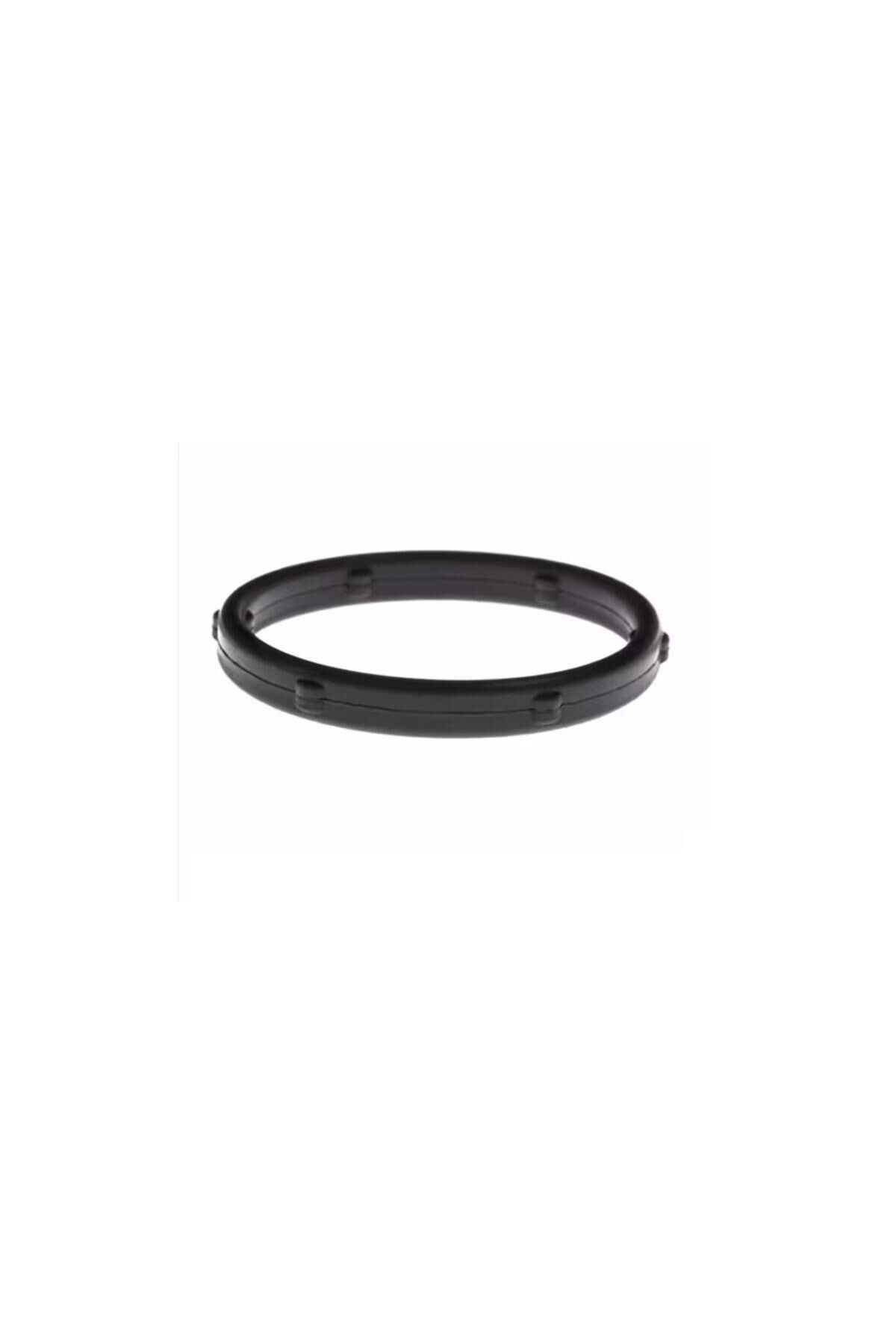 Yağ Pompa Oringi EURO5 DW6 (9805583380)