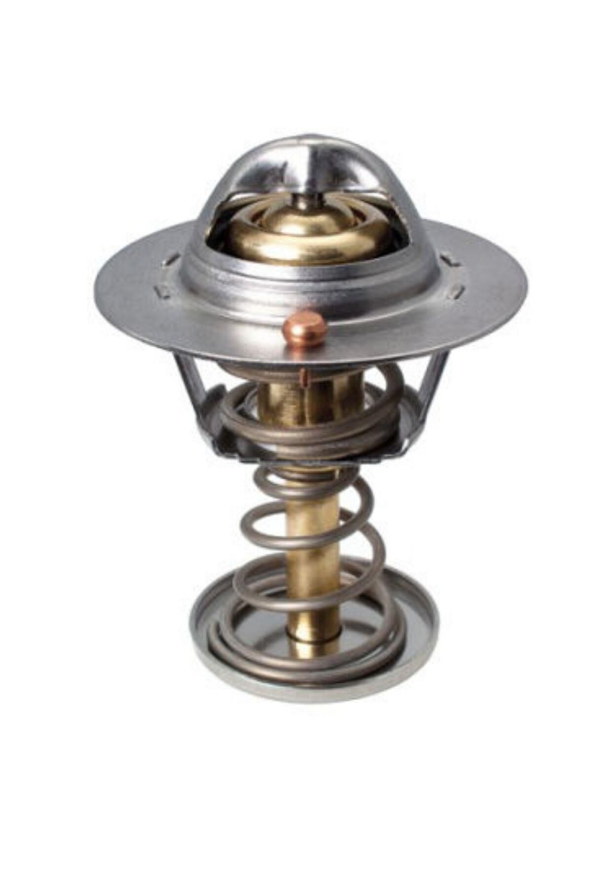 Termostat 88C 107 (78647S-1338E8)