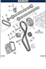 Boxer Jumper3 Triger+Devirdaim 2 0 Euro 6 Dayco (Ktbw9950-0816J5-0816K8-1609086880)