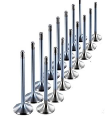 Subap Takımı Std Stellitli  Focus 1.6L 16V Zetec-S 98>01 ( 177617771  - XS6G6505B2A - 98MM6507C2B )