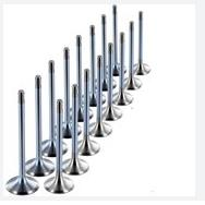 Subap Takımı Std Connect Focus Escort  1.8 Tdcı 8V 02