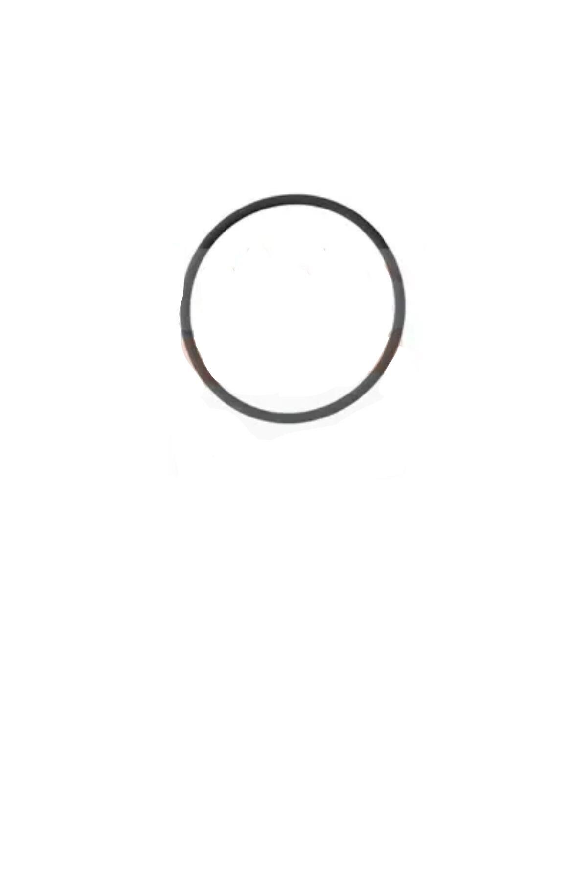 Termostat Kapak Contası 106 Saxo TU5 (134037)