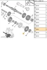 5.Vites Senkromenç Partner Berlingo C3 C4 206 301 307 (238832-238804)