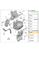 V Kayışı P206-P307-C2-C3 DW4