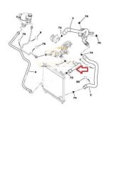 Radyatör Üst Hortumu C2 C3 207 (R15459-1343LC)