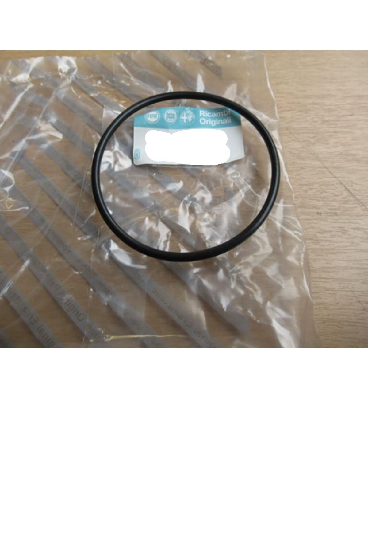 Boxer Jumper Ducato 3 Mazot Filtre Oringi (55197219)