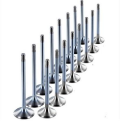 Subap Takımı Focus B.Max Euro5 Courier Fiesta 09 Takım ( GNS66876688 - AV6Q6505AA -AV6Q6507AA )