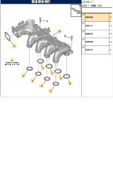 Emme Manifold DW6 Euro4 206 207 407 301 3008 C-elysee (0361N3-22270001)