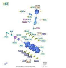 Piston Sekman 1.5 D  Courier Fiesta Focus Bmax  ( FMG8772773STD  - CN1Q6K108AA )