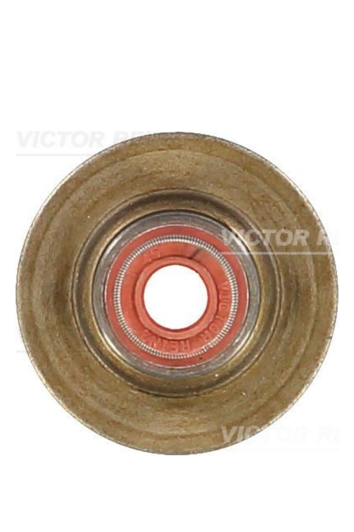 Subap Lastiği 306 406 18 16V 96- (703443900-095645)