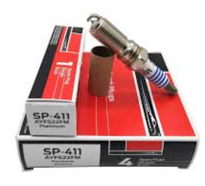 Buji (Platinyum) Escort  ( MCF AYFS22FM - SP-411 )