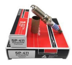 Buji (Platinyum) Escort  ( MCF AYFS22FM - SP-411 )