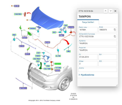 Motor Kaput Ayar Lastiği Courier 14> ( FSE11999066 -ET7616C618BA )